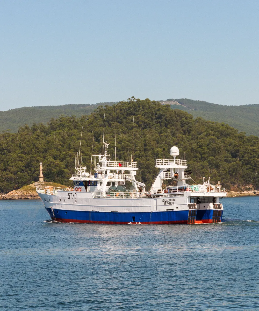 Armadores, elaboradores y comercializadores - BaipescaFish