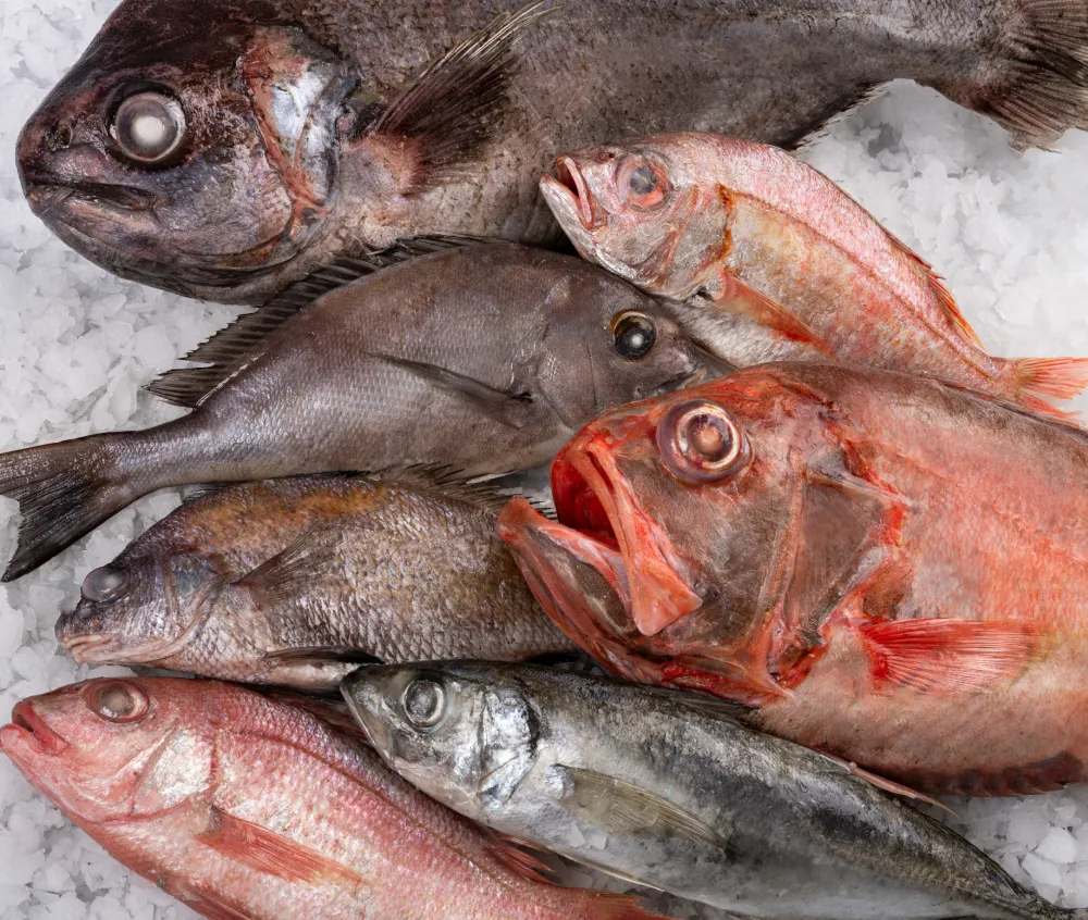 Variedad pescados - BaipescaFish