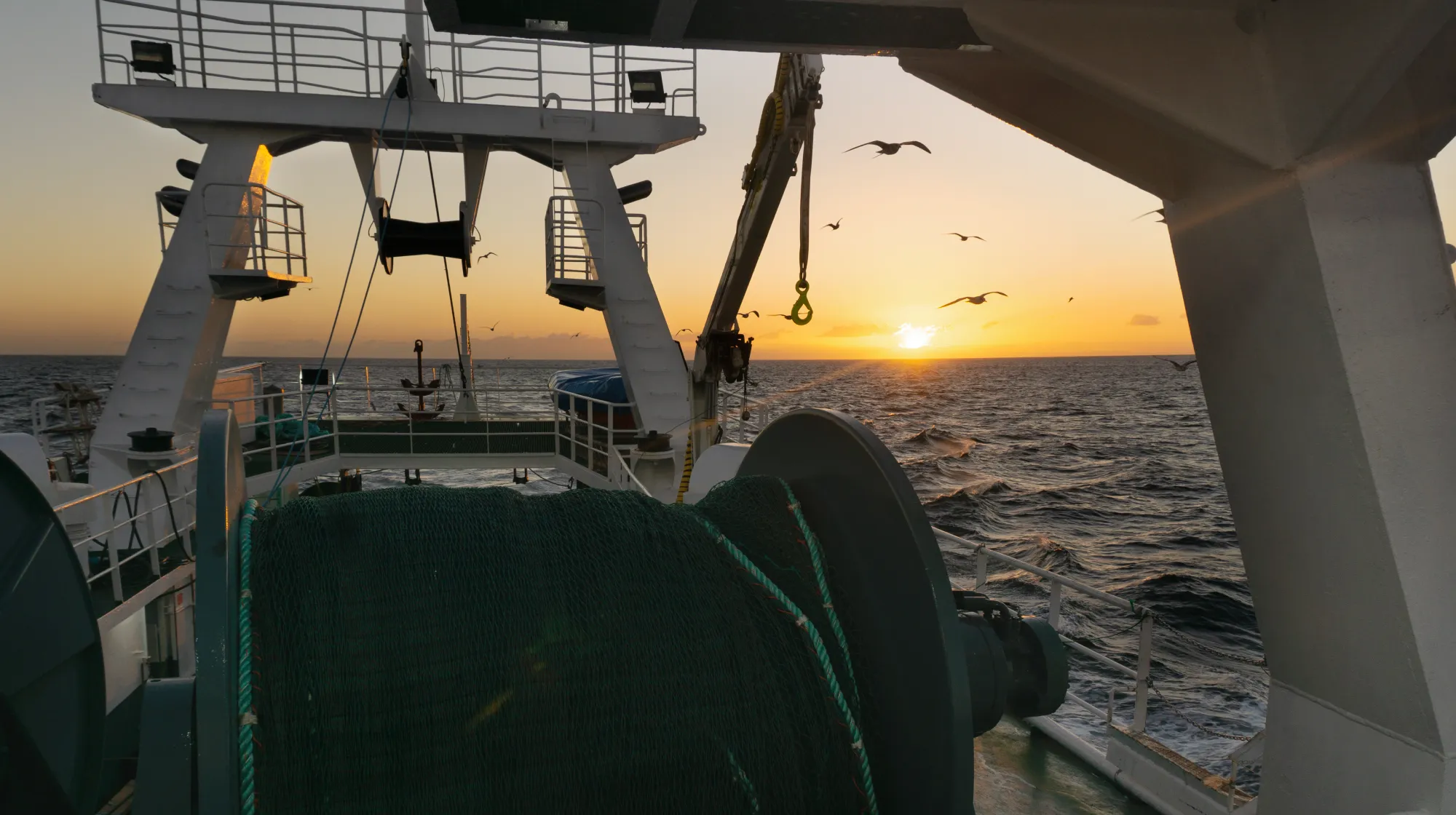 Responsabilidad en BaipescaFish